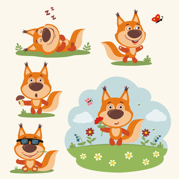 Vector set funny squirrel in different poses on summer meadow with flowers. Collection little squirrel in cartoon style.
