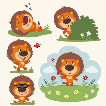 Vector set funny lion in different poses on summer meadow with flowers. Collection little lion in cartoon style.