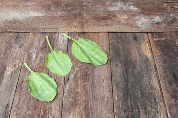 Chinese kale fresh vegetable on wooden table background, Top view