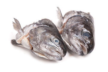 Heads of trout fish