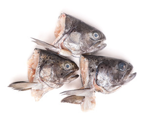 Heads of trout fish