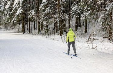 The girl on skis in the wood