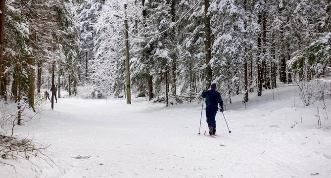 The man on skis in the wood