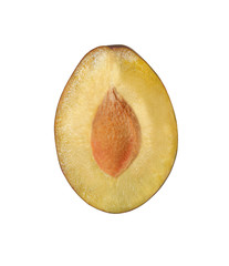 halves cut prune isolated on white background with clipping path