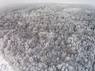 Aerial view of winter forest with snow on the trees