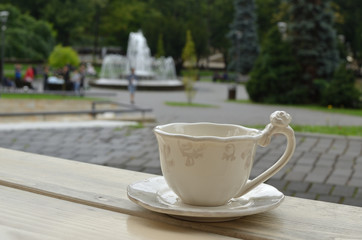 Fine porcelain cup on a park bench with park fountain in background