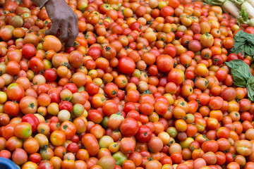 fresh tomato selling at the street shop