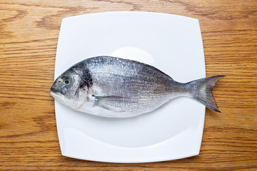 Marine fish dorado lays on a white plate