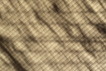 Shaded tatami - Japanese traditional matting