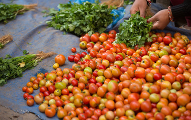 fresh tomato selling at the street shop