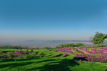 Landscaped gardens on a hilltop in a valley between the mountains and the blue sky with the beautiful natural environment. Fresh from the garden in the morning.