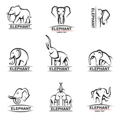 monochrome collection of elephant logos