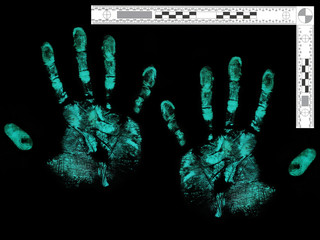 Isolated male hand prints with forensic scale