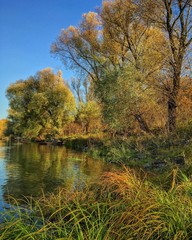 fall on riverbank