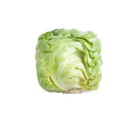 Square cabbage