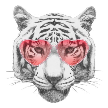 Tiger in Love! Portrait of Tiger with sunglasses. Hand-drawn illustration.