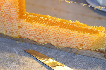 Мед в сотах в деревянной рамке