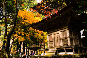 Fototapeta premium Yokokura Temple in Gifu, the leaves of the trees change to beautiful colors.