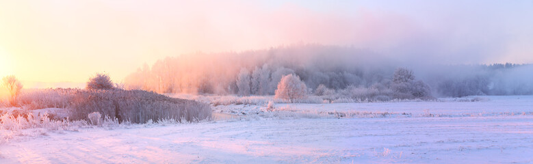 Bright winter landscape