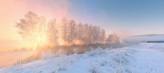 Foto op Plexiglas Winter Winterlandschap met zonnestralen