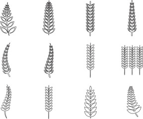 Various ferns icons