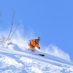Skifahrer beim Powdern