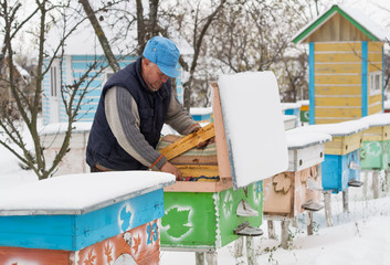 Beekeeper insulation hives with bees in winter