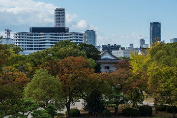 大阪のビルと紅葉