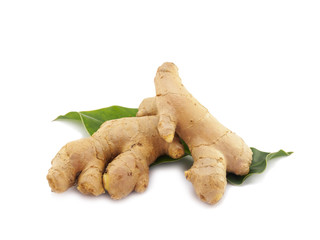 Ginger root for herb and medecine on white background