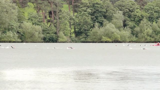 Triathletes swimming in a pretty rural lake in the summertime