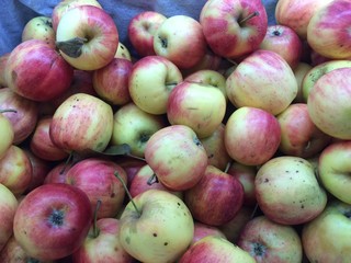 Fresh apples background / Mobile photography