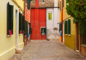 Fototapeta na wymiar Burano island in Venice and its colorful houses