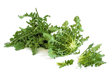 broccolo fiolaro - isolato