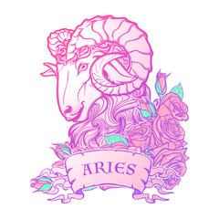 Zodiac sign of Taurus. with a decorative frame of roses Astrology concept art. Tattoo design. Sketch in pastel pallette isolated on white background. EPS10 vector illustration.