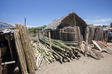 timber sale Madagascar
