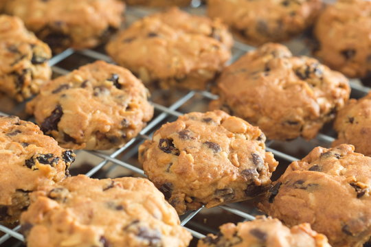 Selective focus Chocolate chip cookies on a tray rack,Fresh baked cookies,Cookies close up shot.