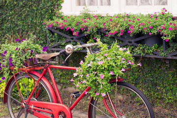 Fototapeta na wymiar Red vintage bicycle with a flowers in a basket.