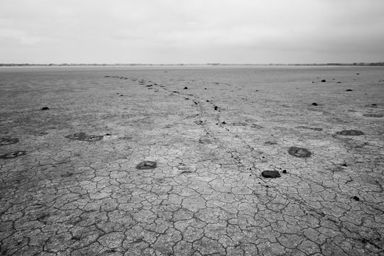 Australia Landscape : Cracked earth at Colac Salt Lake