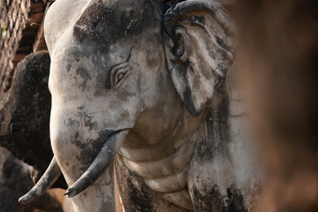 Fototapeta na wymiar Elephant statues in Sukhothai historical park, Thailand.