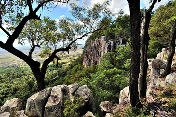 Fototapeta premium Trees on cliff of Mt. French, Frog Buttress