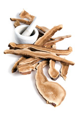 Lingzhi mushroom, Chinese traditional medicine, Ganoderma Lucidu
