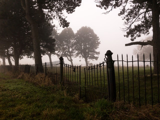 KIRKBY IN ASHFIELD, ENGLAND - OCTOBER 31: Old graveyard in the fog, England. In Kirkby In Ashfield, Nottinghamshire, England. On 31st October 2016.