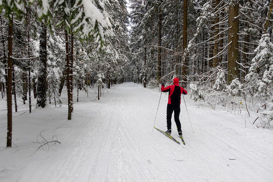 The skier in the wood