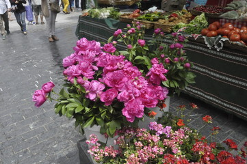 Flowers, San Sebastian, Spain