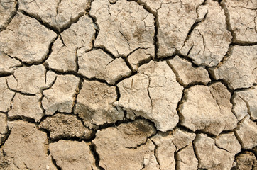 Cracked clay ground.