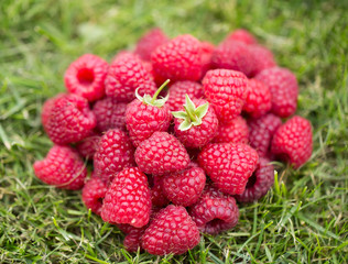 heap of sweet raspberry