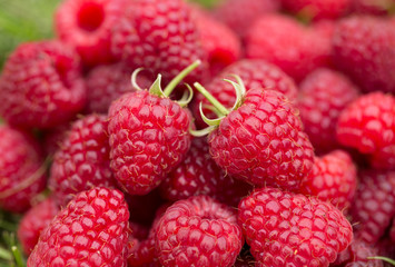 heap of sweet raspberry