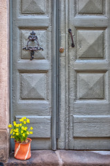 Fototapeta na wymiar Stockholm. Sweden. Flower pot with yellow narcissus near wooden door in Gamla Stan (Old Town)