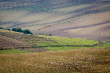 Incredible patterns on waved fields of South Moravia called the Moravian Tuscany, green and brown autumn colors. Czechia.