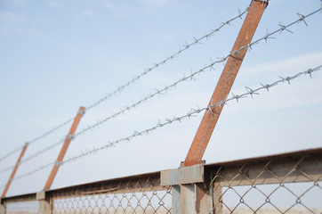 Fototapeta premium The barbed wire with blue sky